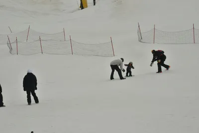 DSC_6756 (Large).JPG